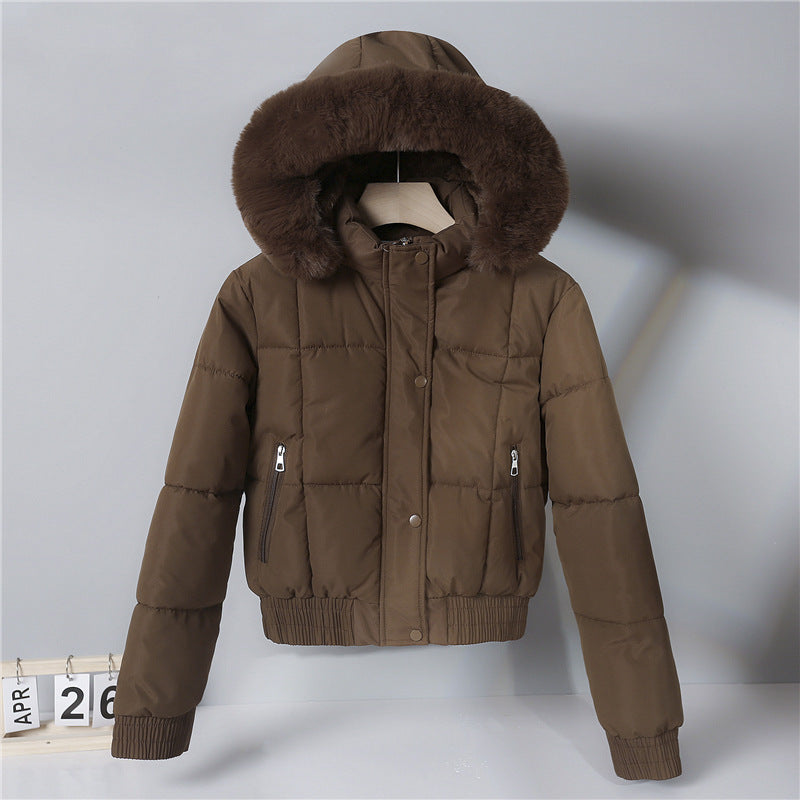 Ladies nan padded short jacket in blouson style with hood and cosy faux fur trim