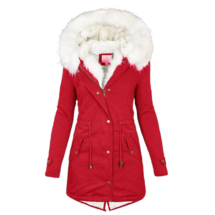 Warm jacket winter