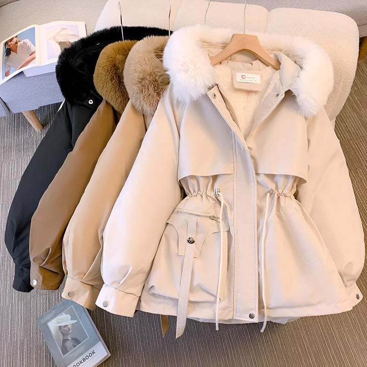 Jacket winter